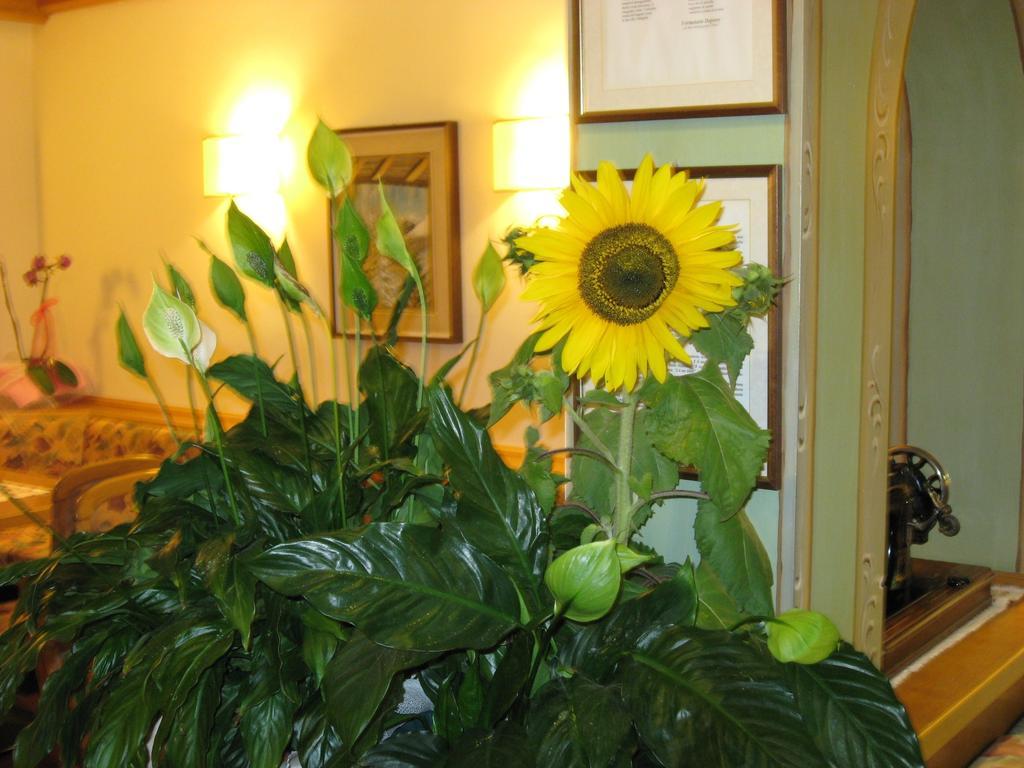 Albergo Villa Cristina Folgaria Luaran gambar